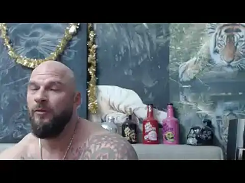 viking 30 online show from 04/07/26, 06:21