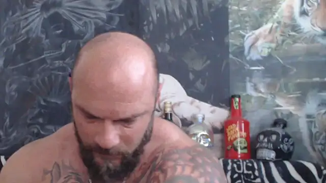 viking 30 online show from 06/24/26, 06:34