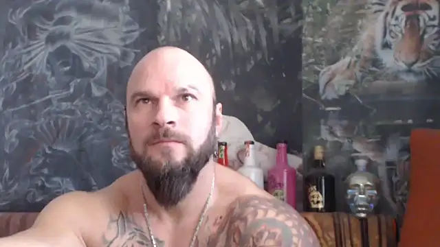 viking 30 online show from 11/26/25, 07:41