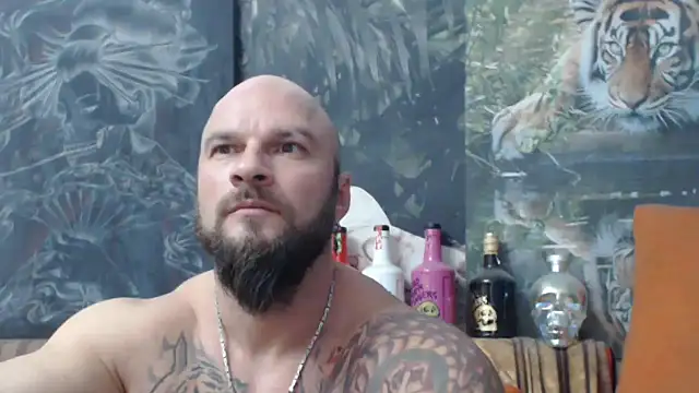 viking 30 online show from 11/19/25, 07:03