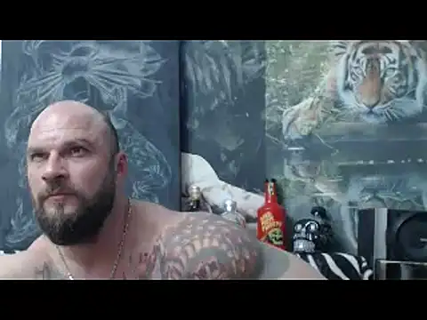 viking 30 online show from 04/17/26, 06:11