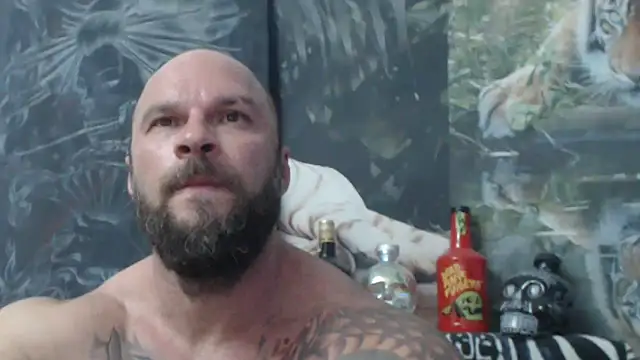 viking 30 online show from 06/21/26, 06:03