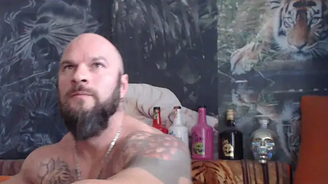 viking 30 online show from 11/04/25, 08:07