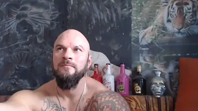 viking 30 online show from 11/18/25, 07:44