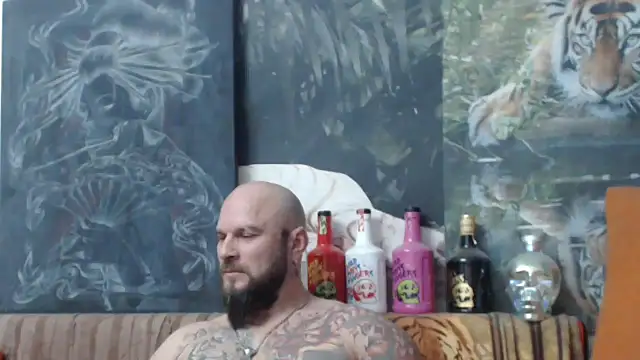 viking 30 online show from 11/09/25, 08:02