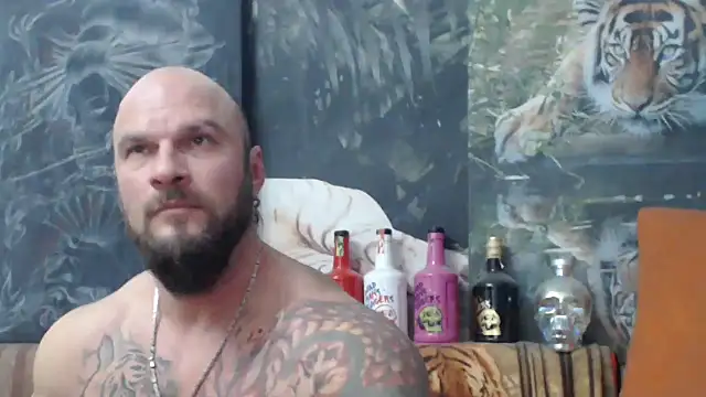 viking 30 online show from 11/15/25, 07:18