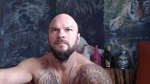 viking 30 online show from 10/08/25, 10:17