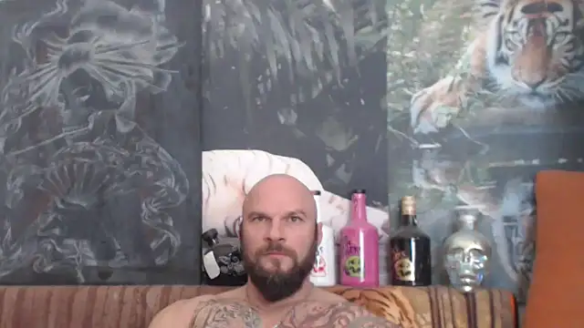 viking 30 online show from 11/01/25, 08:30