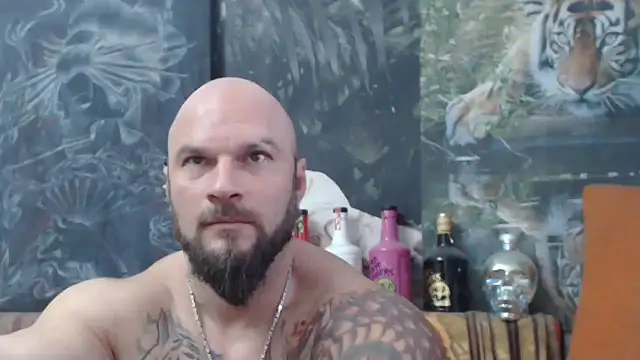 viking 30 online show from 11/11/25, 07:36