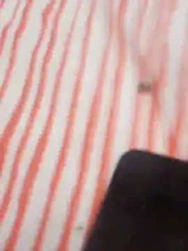 MRbigc23 online show from 05/31/26, 03:07