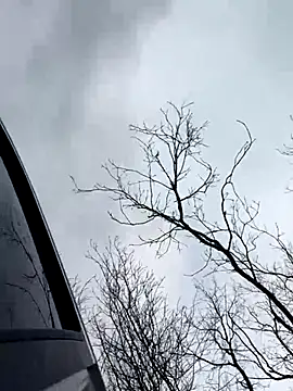 Model9798 online show from 12/22/25, 09:31