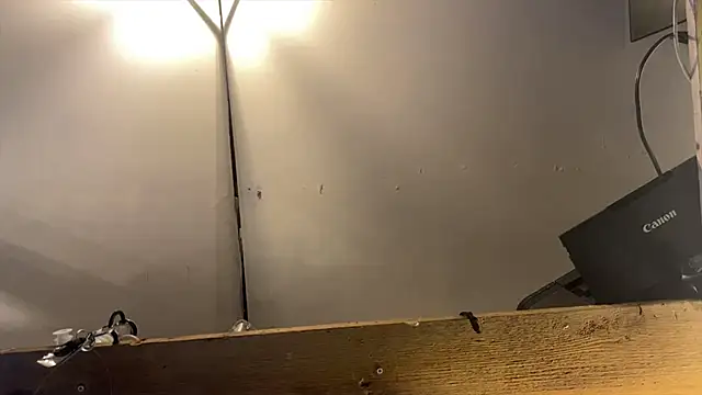 xdresserwithass online show from 02/26/26, 06:46