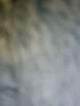 PhoenixDesirexh online show from 04/04/26, 03:40