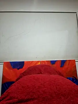 Snapshot of PhoenixDesire@xh chatting on 03/22/25, 01:08 PhoenixDesirexh online show from 03/22/25, 01:08