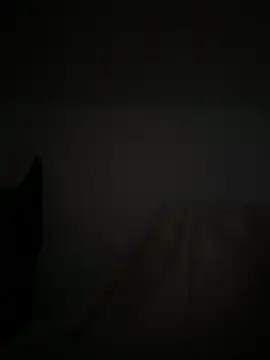 Marocainegroscul online show from 11/16/25, 07:02