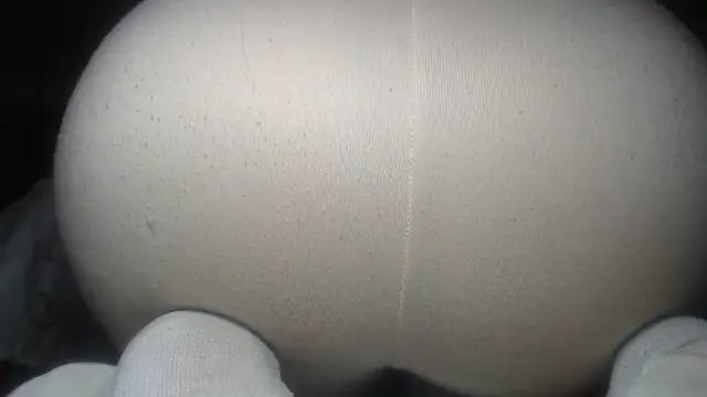 Snapshot of prettyangelsquirt chatting on 07/14/26, 02:49 prettyangelsquirt online show from 07/14/26, 02:49