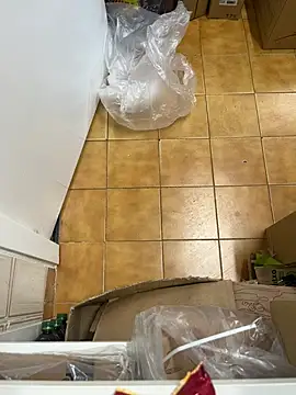 Mindnorthcam2 online show from 02/16/26, 07:40