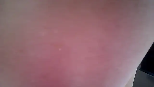 avajade online show from 03/13/26, 10:53