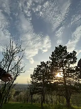 Alimela online show from 04/15/26, 04:11