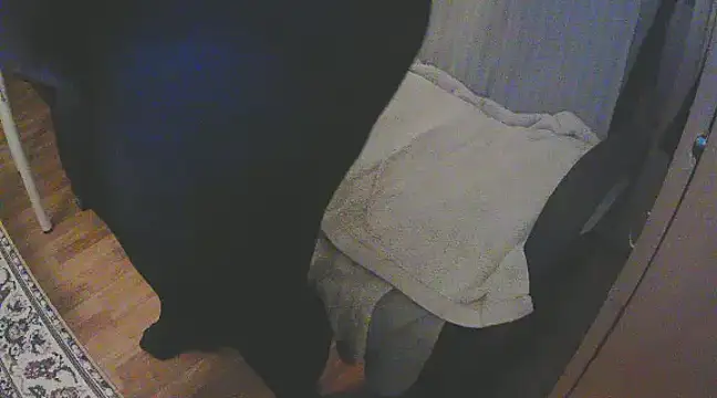 szadamo online show from 12/11/24, 04:53