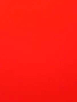 Rabit Snake online show from 02/16/25, 09:05