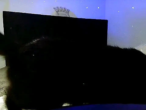 Luxlatingirlz oficial online show from 03/15/25, 05:08