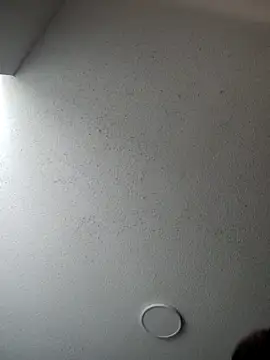 Snapshot of 6lue6a6y69 chatting on 01/05/25, 06:13 6lue6a6y69 online show from 01/05/25, 06:13