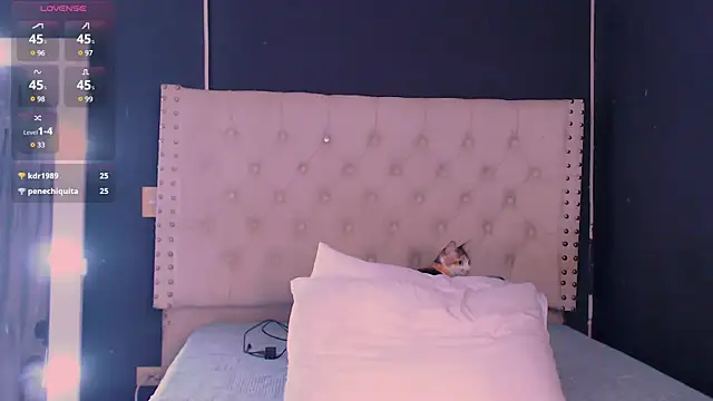 Snapshot of valen_thompson chatting on 01/05/25, 12:52 valen thompson online show from 01/05/25, 12:52