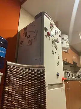 camelia3 online show from 10/25/25, 07:36