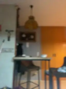 camelia3 online show from 02/25/26, 12:44