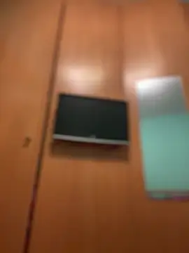 camelia3 online show from 03/10/26, 07:18