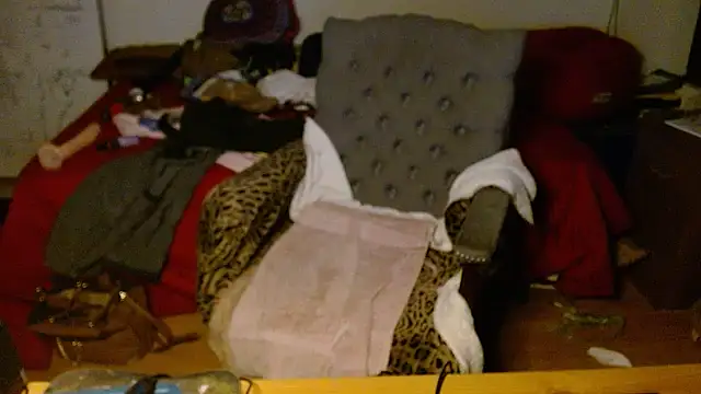 Transjoni online show from 01/08/26, 09:48