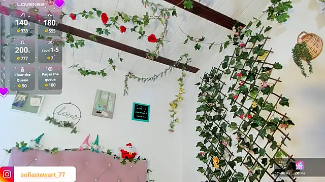 steewart  online show from 12/29/24, 11:29