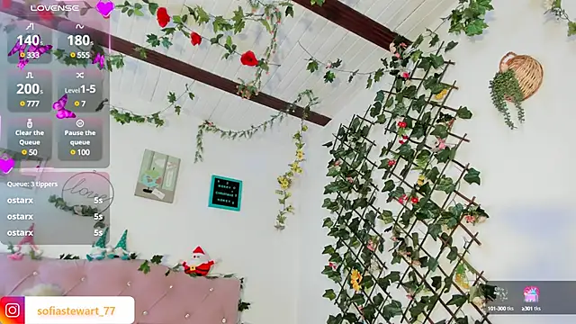 steewart  online show from 12/13/24, 11:28