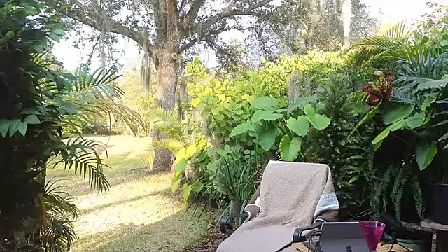 eliberator1777 online show from 01/31/25, 09:37