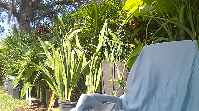 eliberator1777 online show from 05/16/26, 07:57