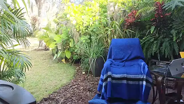 eliberator1777 online show from 12/10/24, 03:44