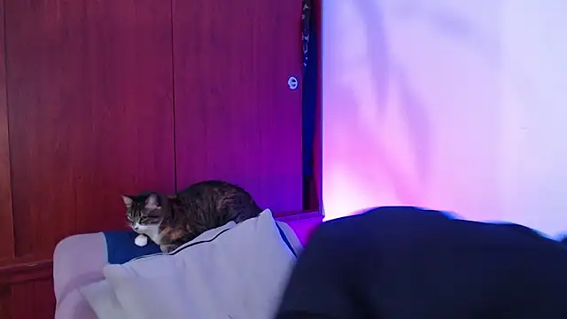 Raventh  online show from 03/14/26, 12:00