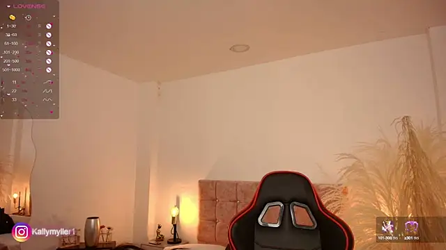 Snapshot of KallyMyller1 chatting on 03/01/25, 11:04 KallyMyller1 online show from 03/01/25, 11:04