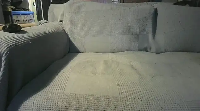 naked bear online show from 12/19/24, 07:29