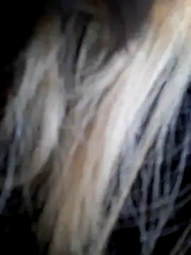 Dirtyfeelin online show from 12/14/25, 12:00