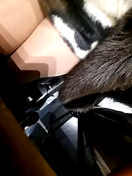 Dirtyfeelin online show from 11/18/25, 02:42