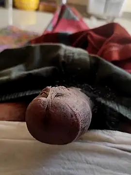 Snapshot of Hausa_44 chatting on 11/05/25, 02:36 Hausa 44 online show from 11/05/25, 02:36