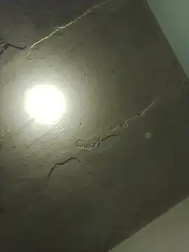 Indianbloom- online show from 04/06/26, 09:32