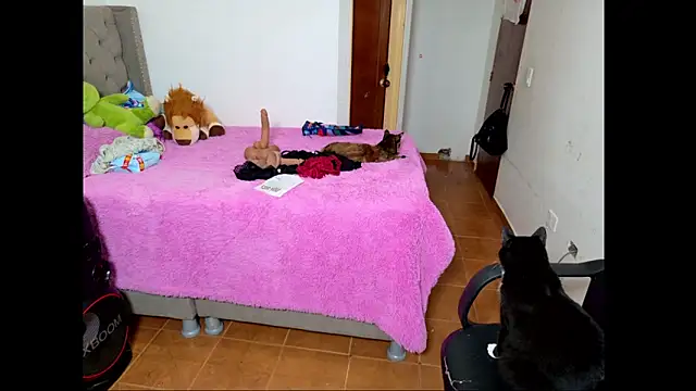 emily honter online show from 12/14/25, 08:47