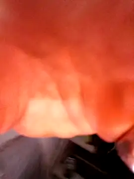 justinewe69 online show from 02/11/26, 08:14