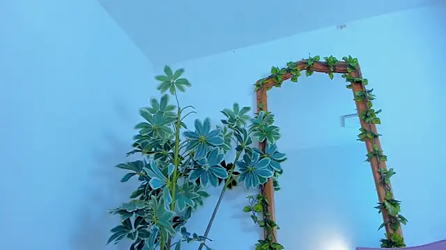 Snapshot of NinaWong chatting on 02/26/26, 07:03 NinaWong online show from 02/26/26, 07:03