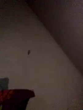 Snapshot of Chris-LE91 chatting on 09/21/25, 01:11 Chris-LE91 online show from 09/21/25, 01:11