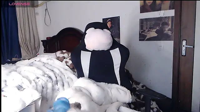 candy cola online show from 11/13/25, 11:14