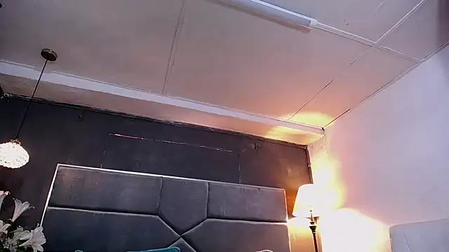 teddyfit19cm online show from 01/12/26, 12:56